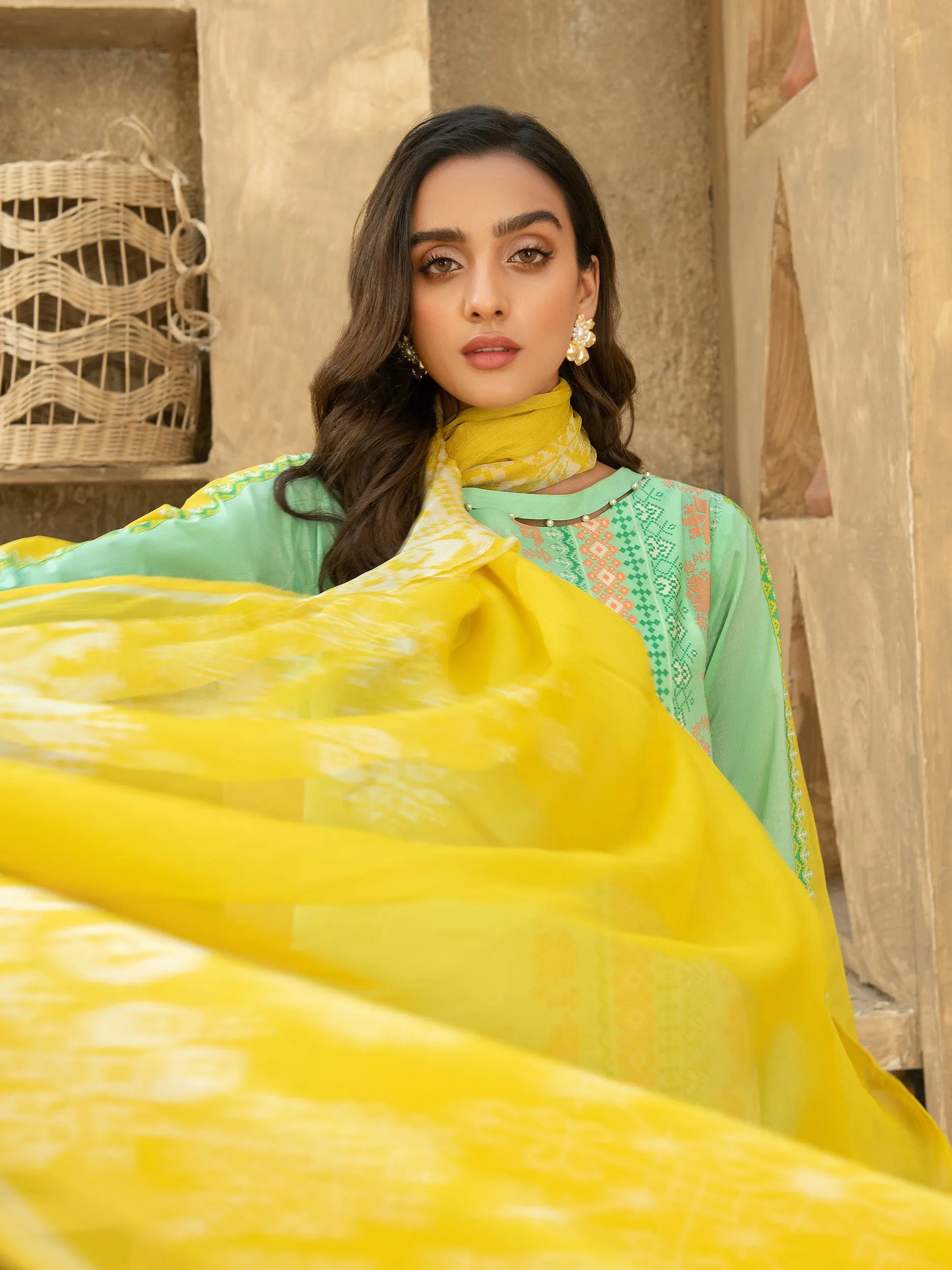 Lawn Printed Suit