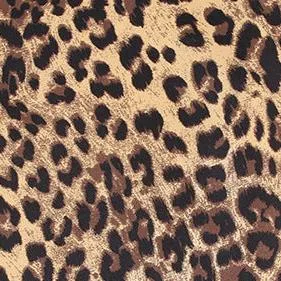 Leopard Print Wide-Leg Pants