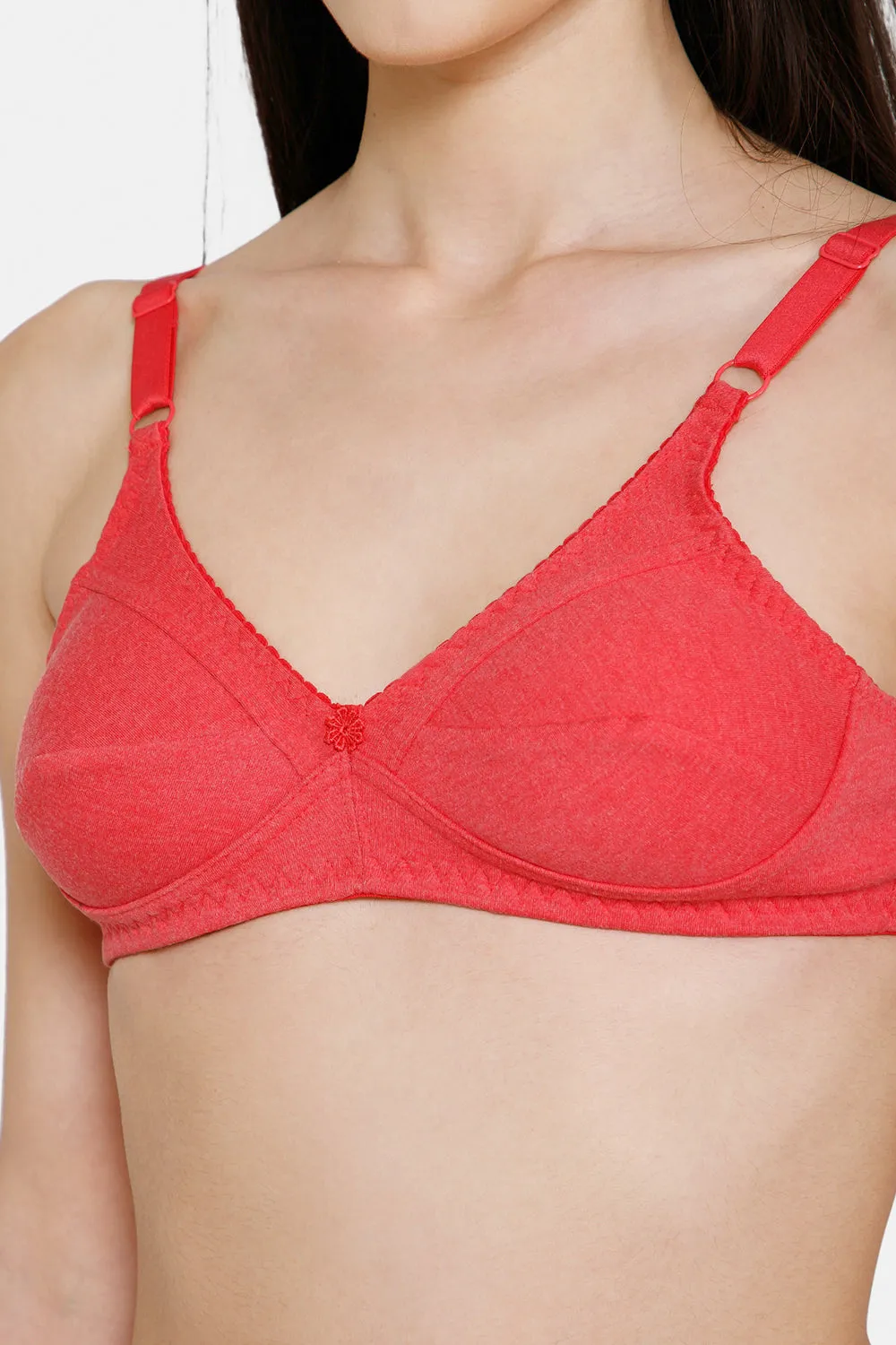 Naidu Hall Everyday Saree and Salwar Bra - Charmi