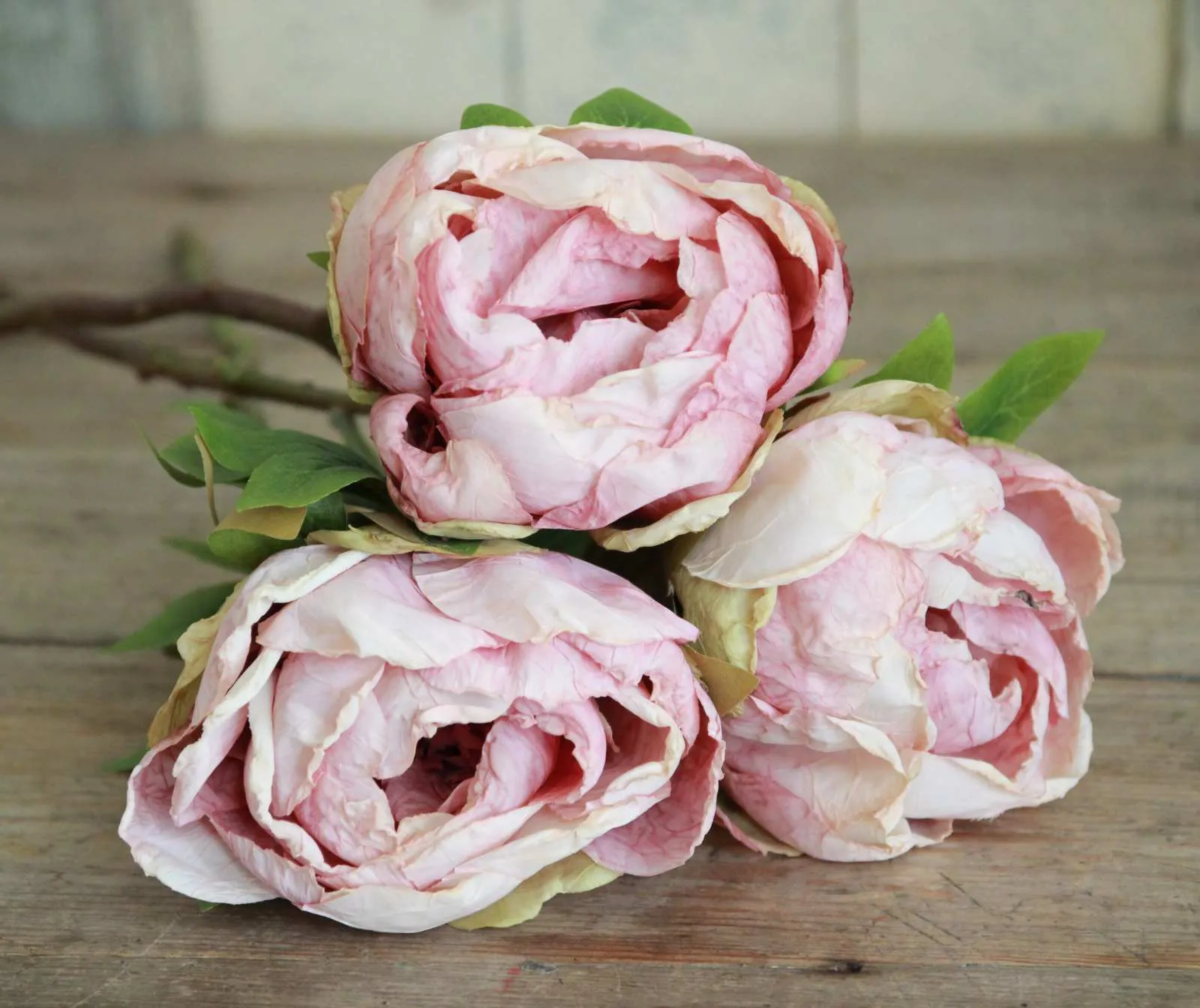 Silk Flower - Dried Peony - Dusty Pink